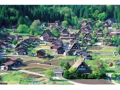 Rompecabezas 1500 Piezas Villa Shirakawa, Japón