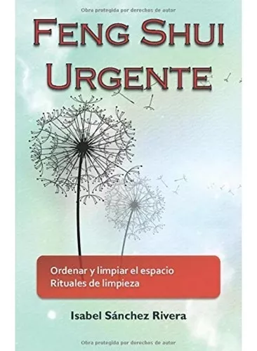 Feng Shui Urgente: Ordenar Y Limpiar El Espacio