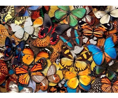 Rompecabezas 500 Piezas Mariposas 52cm X 38 Cm