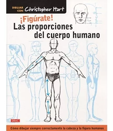 Figúrate! Las Proporciones Del Cuerpo Humano | Christopher H