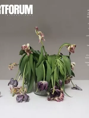 Revista Art Forum | Junio 2020 | En Inglés