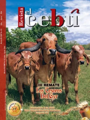 Revista El Cebú 411