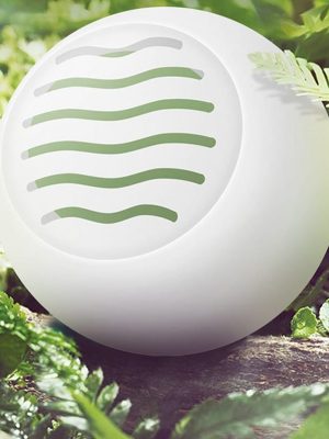 Bolas Fresh Multiusos